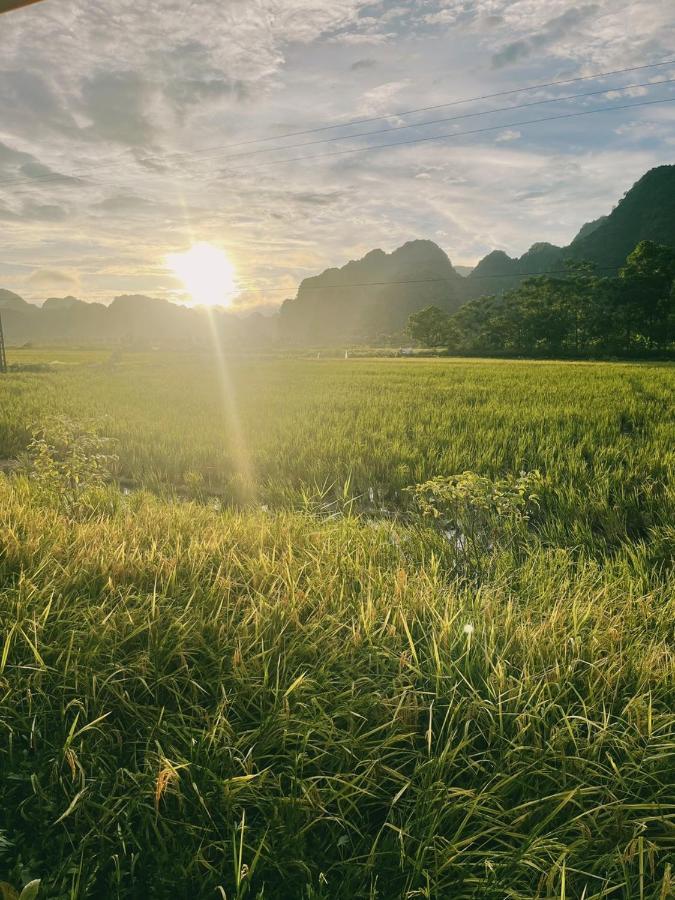 Villa Tam Coc Windy Fields Ninh Binh Exterior foto